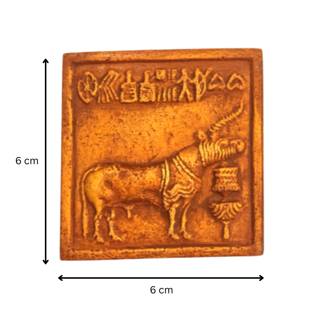 Fridge Magnet: Set of Five