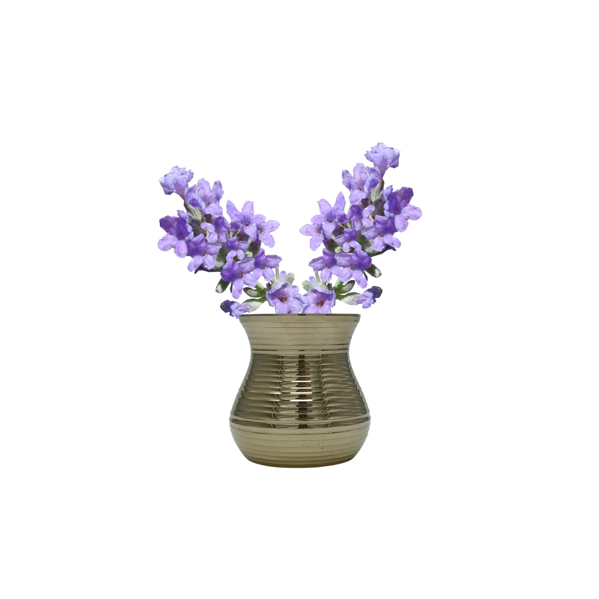 Ringed Vase
