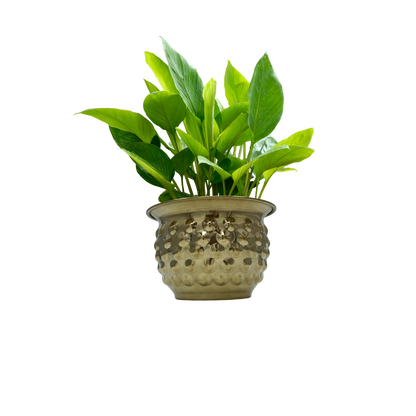 Brass Bubble Planter