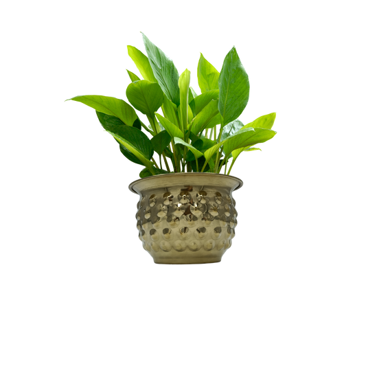 Brass Bubble Planter