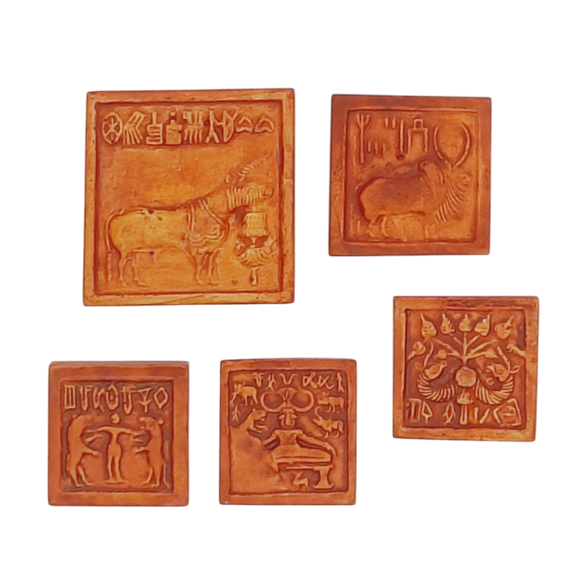 Fridge Magnet: Set of Five
