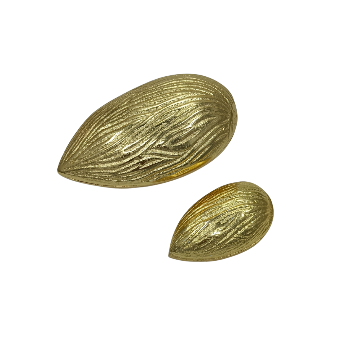 The Nut Case
