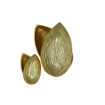 The Nut Case