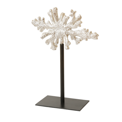 Coral Reef