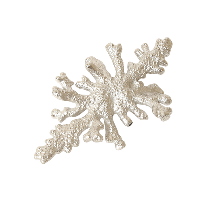 Coral Reef