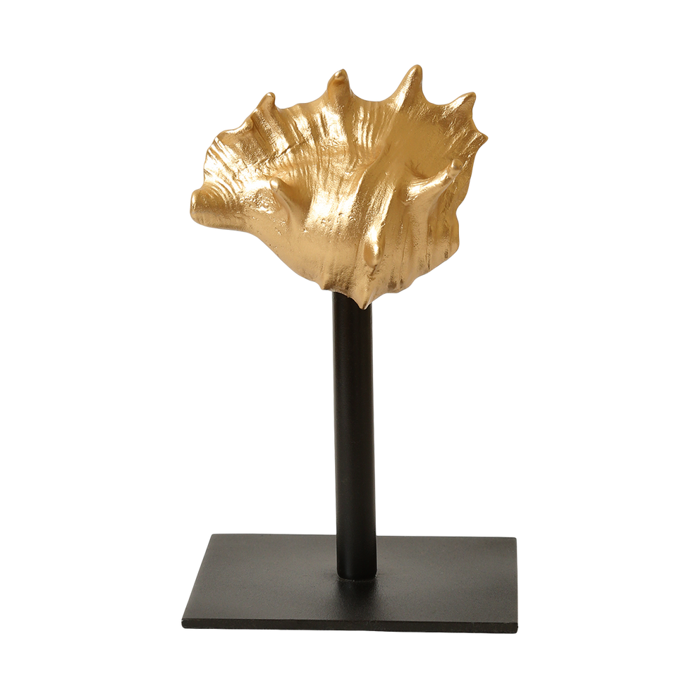 Clamp Shell – Aravali Handicrafts